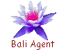 Bali Agent