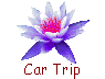 Car Trip